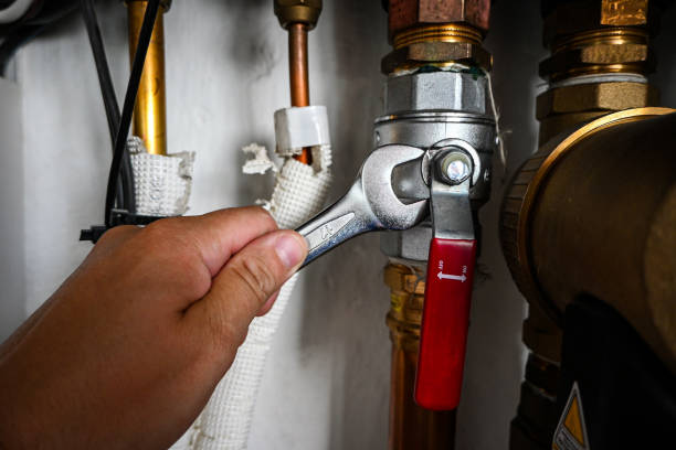 Best Shower Repair Services  in Atkinson, IL